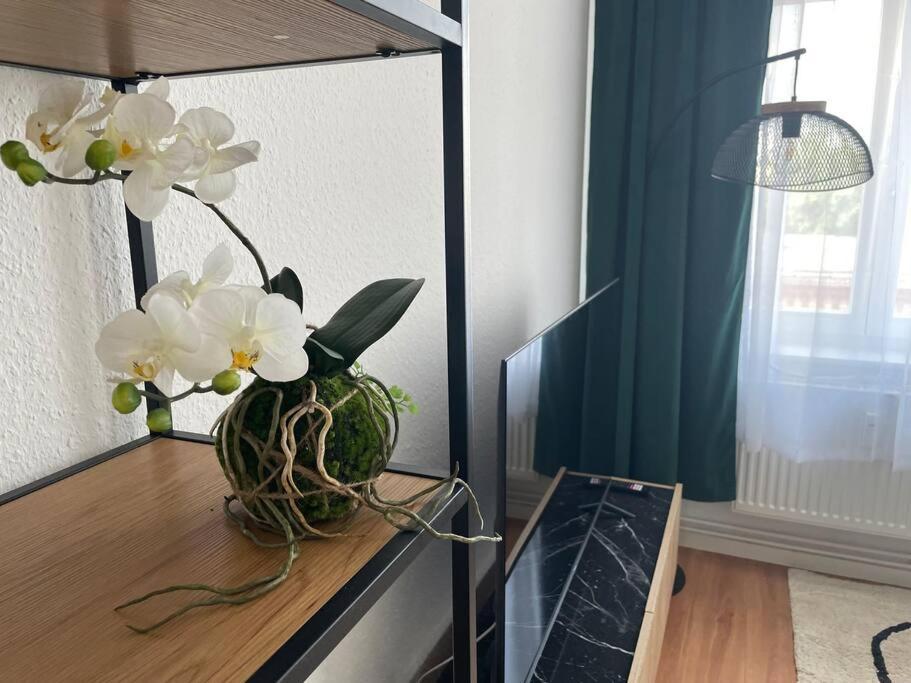 Lucky Ls12 - Vollausstattung - Zentrum - Grosse Kueche - 2 - Smart-tv Apartment Magdeburg